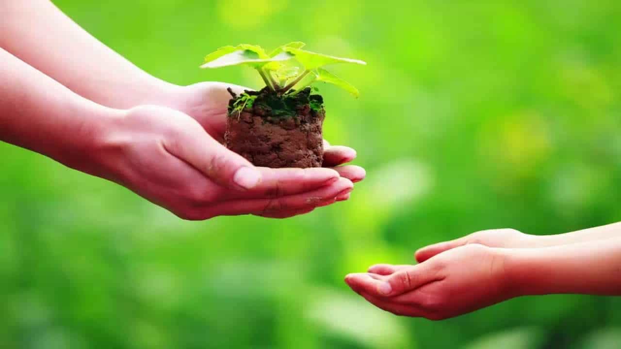 Từ thiện xã hội